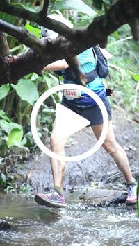 BIB:  <button type="button" onclick="openModal(27824607)" class="btn btn-primary btn-sm float-right" data-toggle="modal" data-target=".modal-high-quality">
                <i class="fa fa-download"></i> Download
                </button>